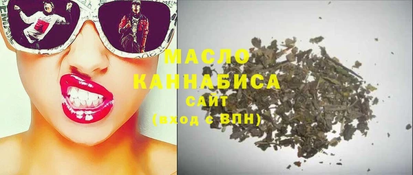 дмт Краснослободск
