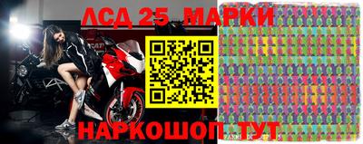 ALPHA PVP Аргун