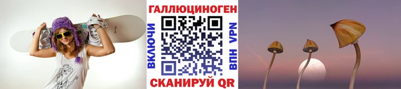 Псилоцибиновые грибы Magic Shrooms  Барнаул 