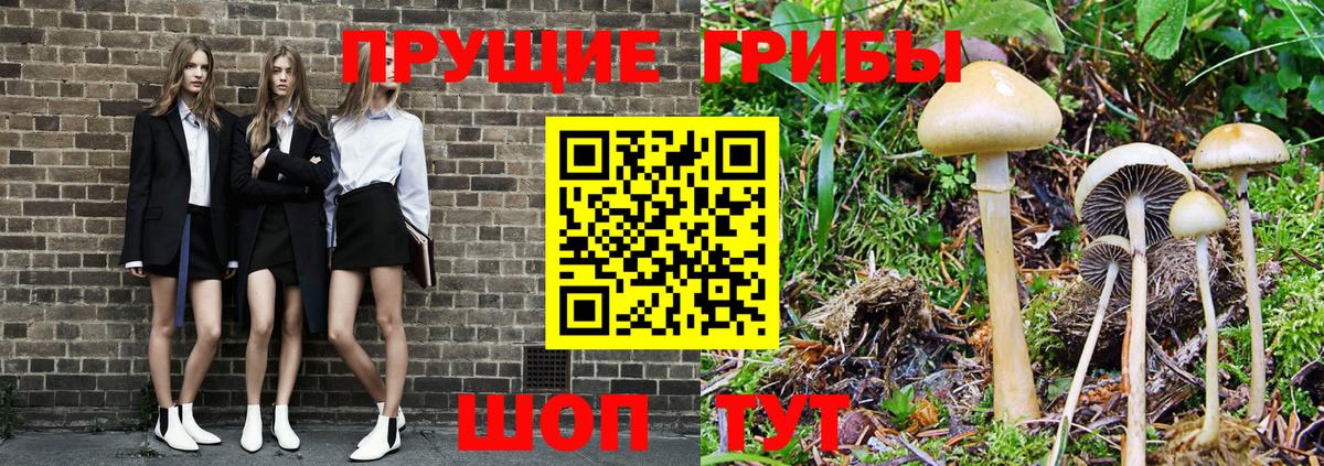 Псилоцибиновые грибы прущие грибы  Псилоцибиновые грибы мицелий  где купить наркотик  Вход с VPN  Барнаул 